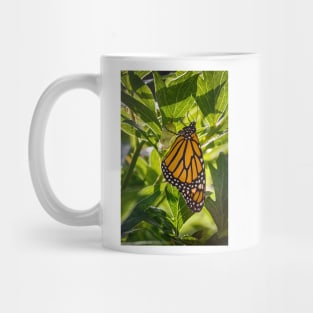 Monarch Butterfly 2 Mug